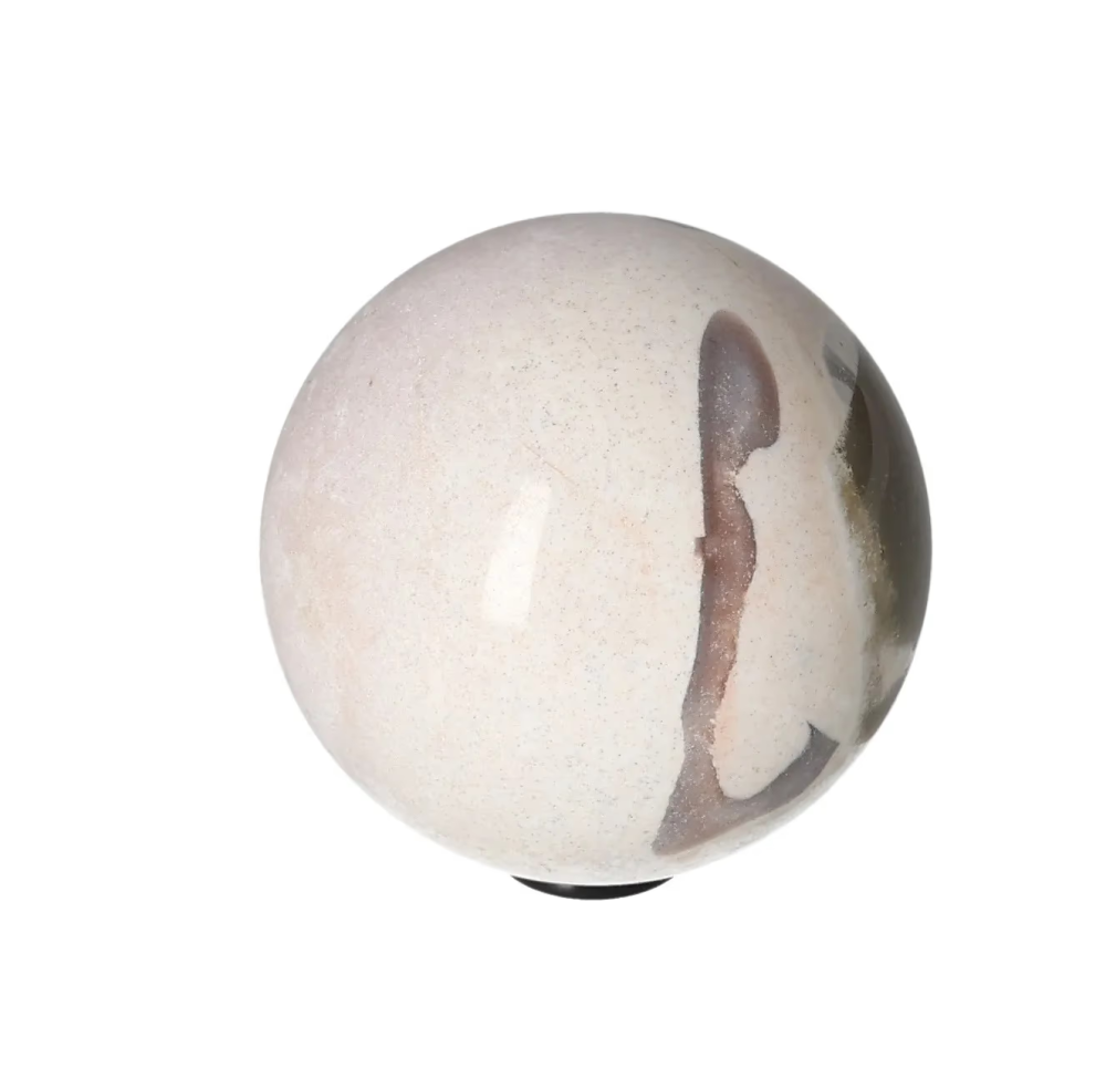 orbitvu|type:image2d