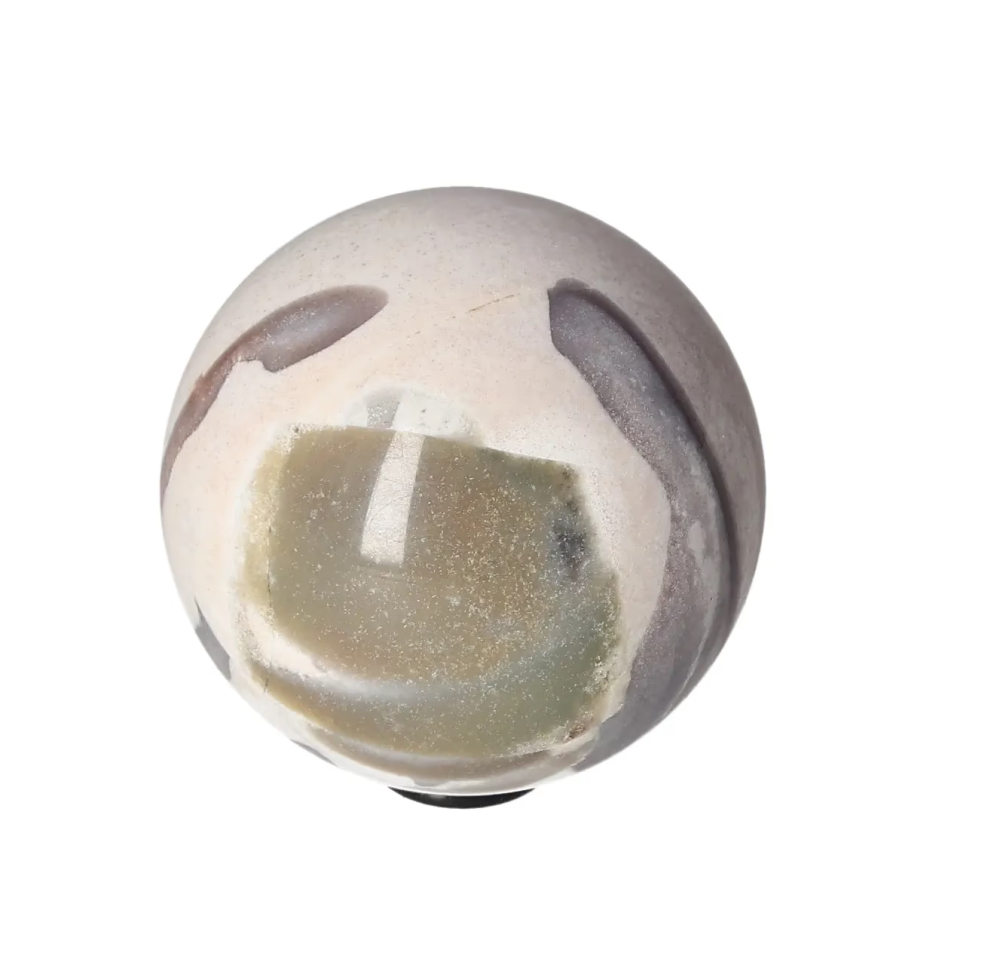 orbitvu|type:image2d