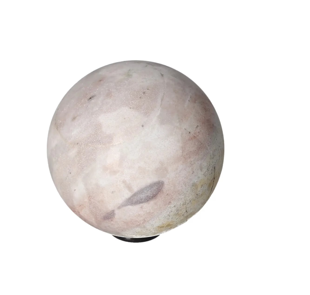 orbitvu|type:image2d