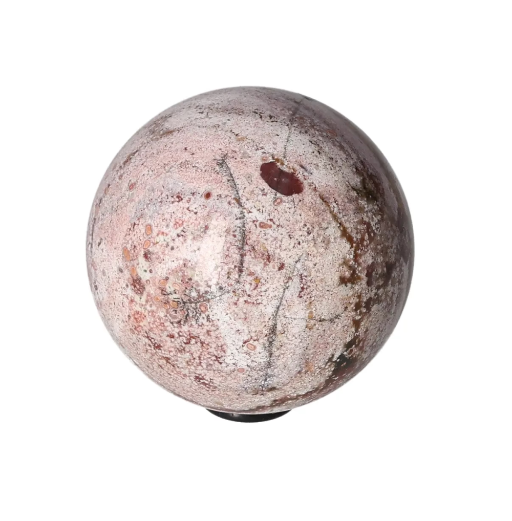 orbitvu|type:image2d