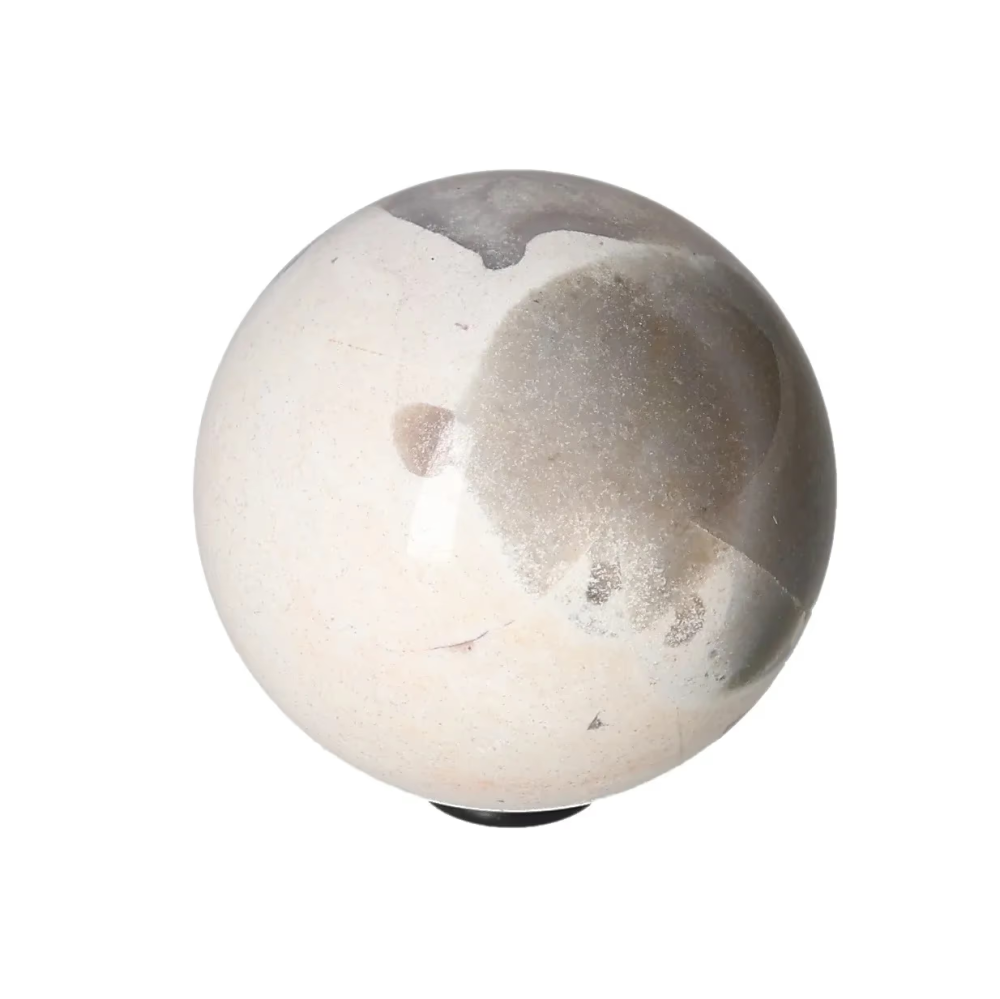 orbitvu|type:image2d