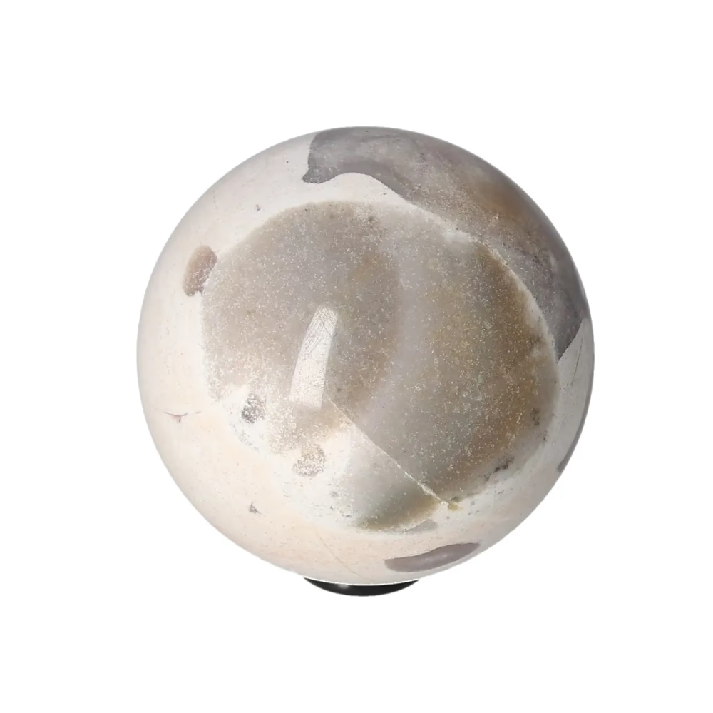 orbitvu|type:image2d