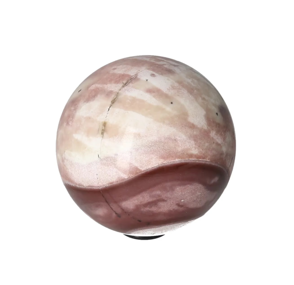 orbitvu|type:image2d