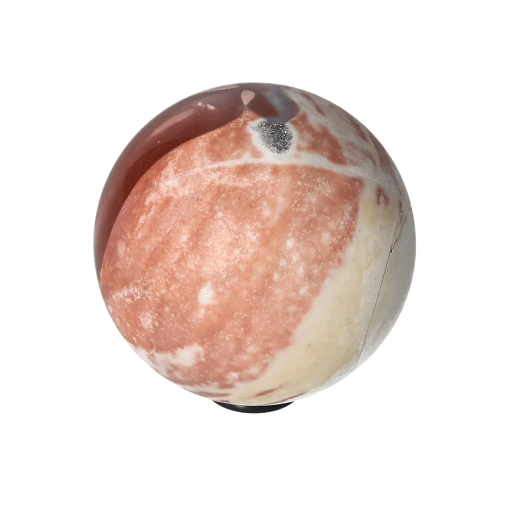 orbitvu|type:image2d