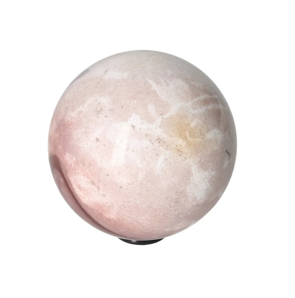 orbitvu|type:image2d