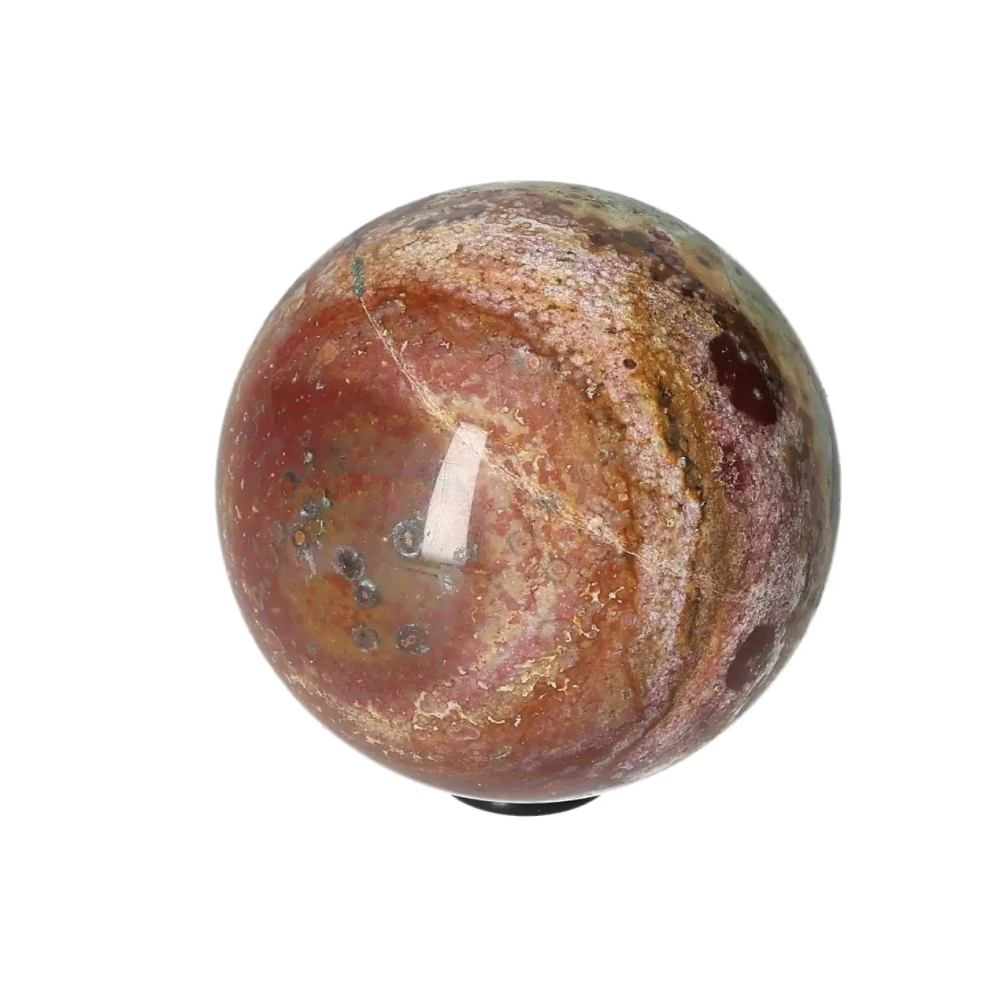 orbitvu|type:image2d