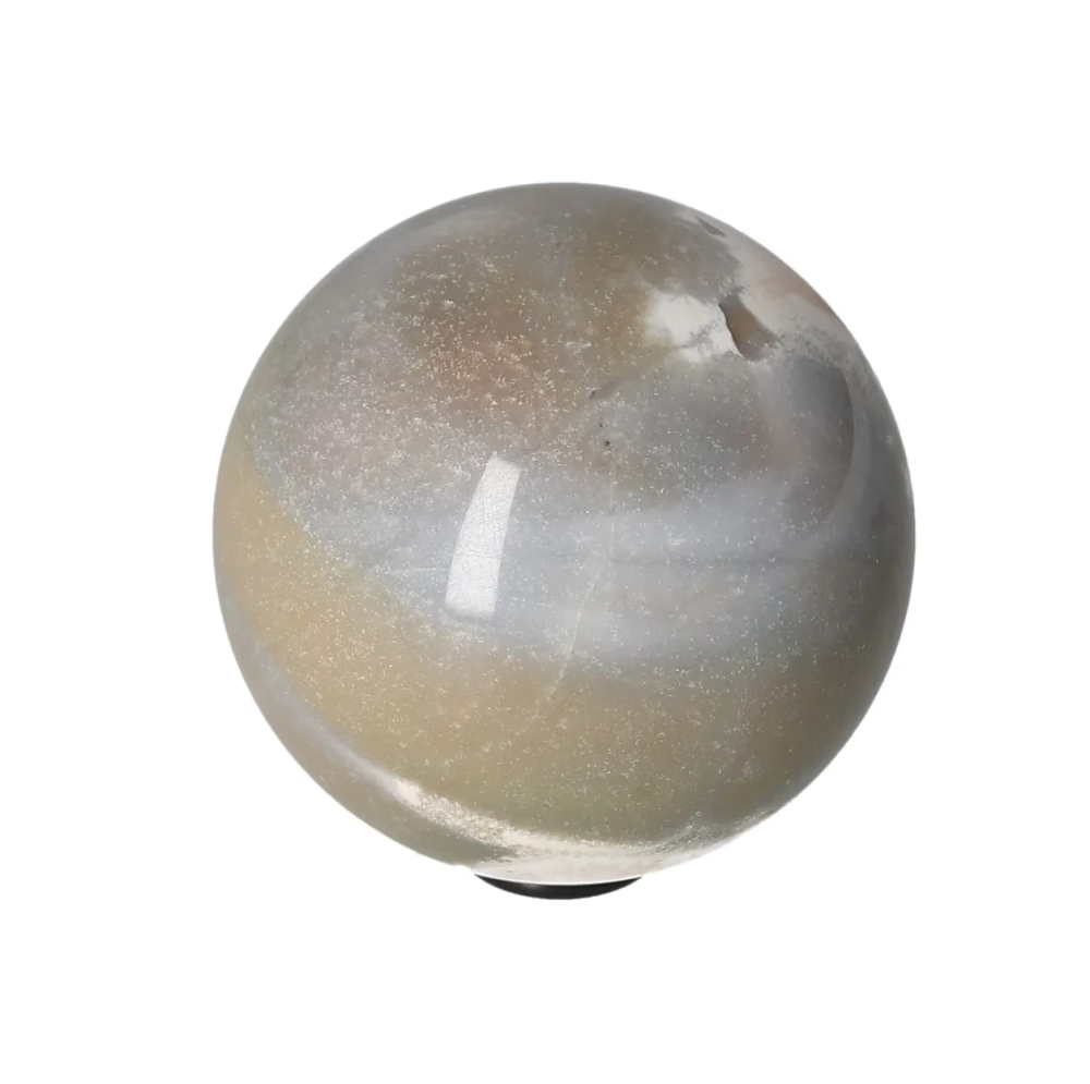 orbitvu|type:image2d