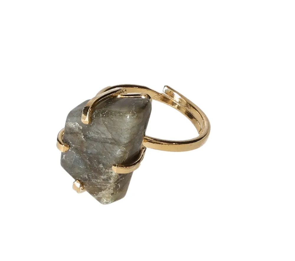 orbitvu|type:image2d