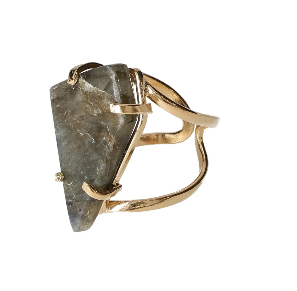 orbitvu|type:image2d