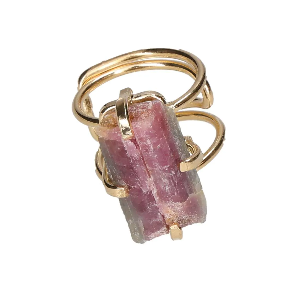 orbitvu|type:image2d