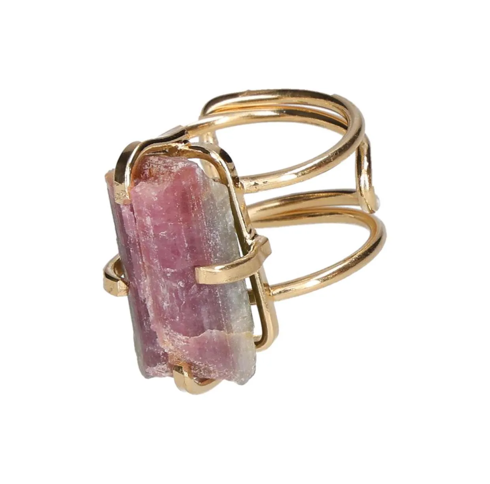 orbitvu|type:image2d