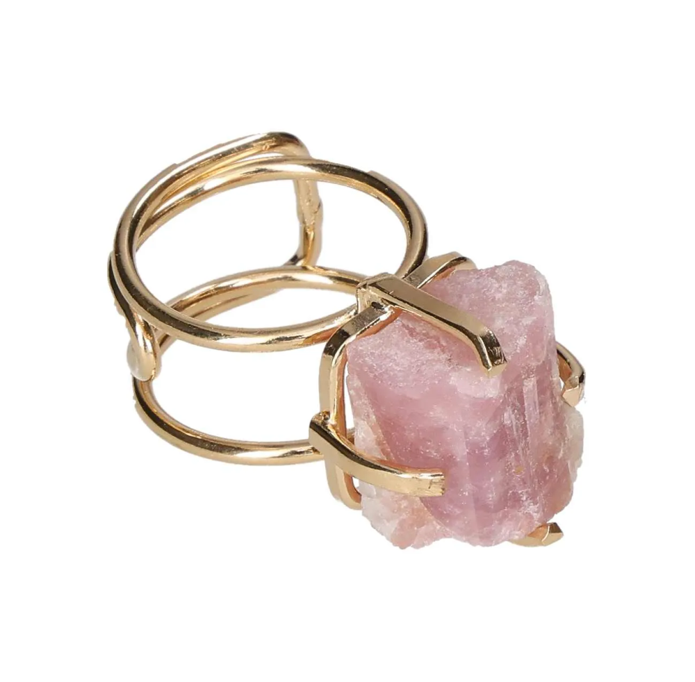 orbitvu|type:image2d