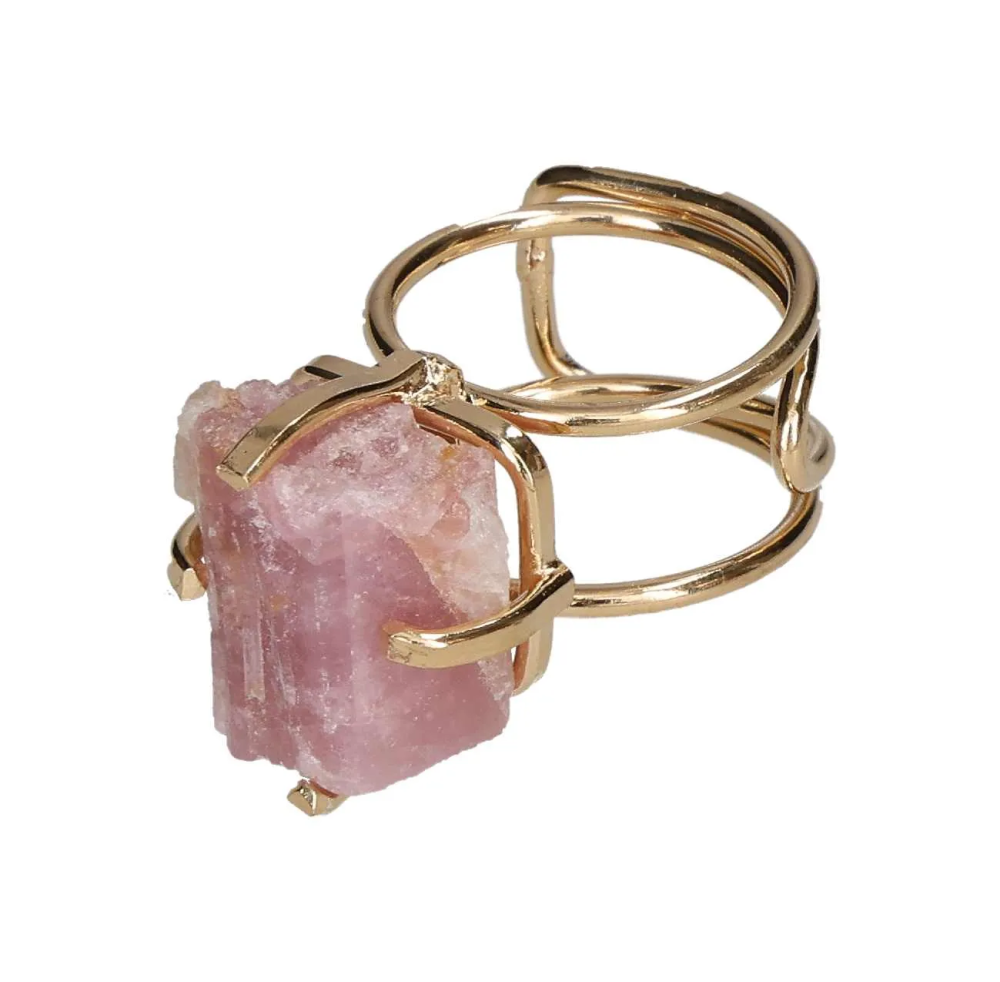 orbitvu|type:image2d