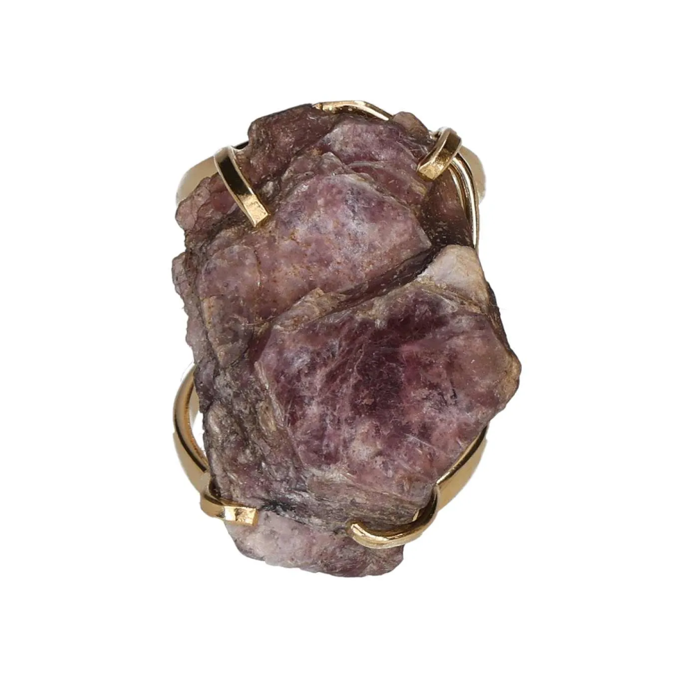 orbitvu|type:image2d