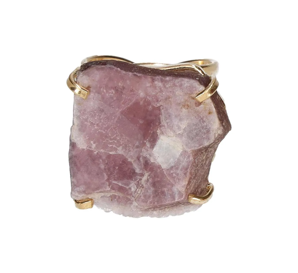 orbitvu|type:image2d