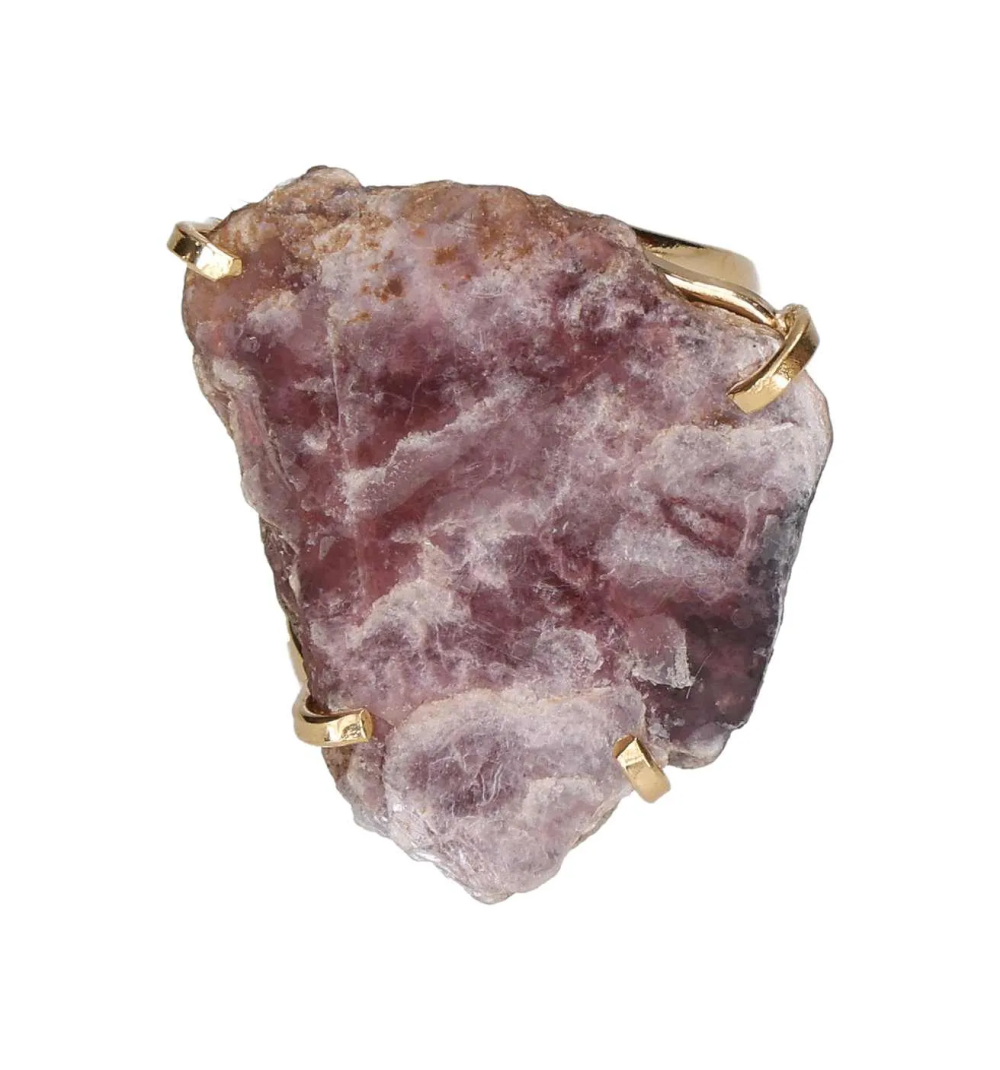 orbitvu|type:image2d