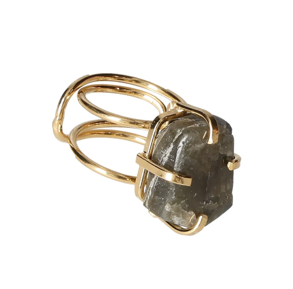 orbitvu|type:image2d