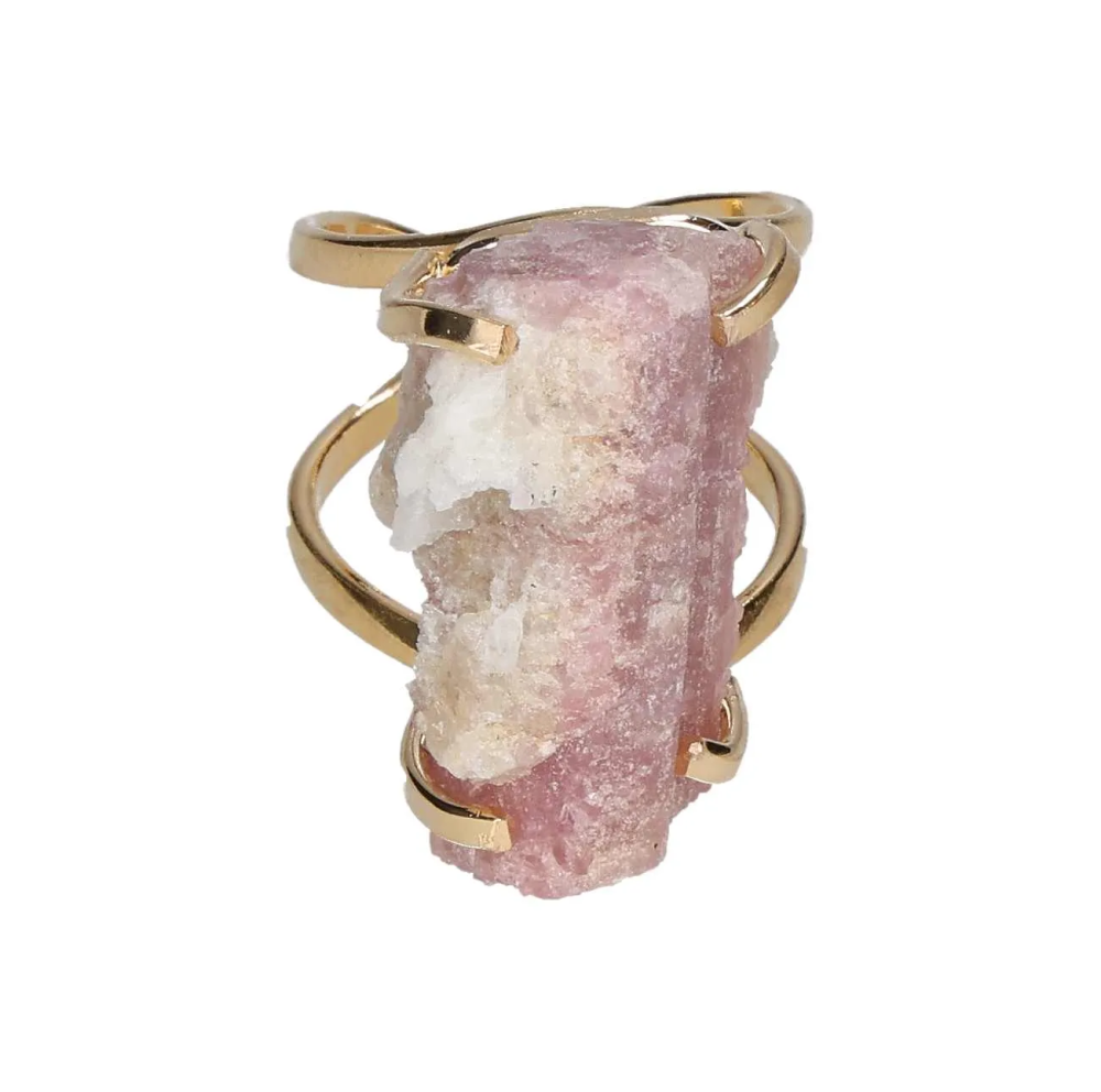 orbitvu|type:image2d