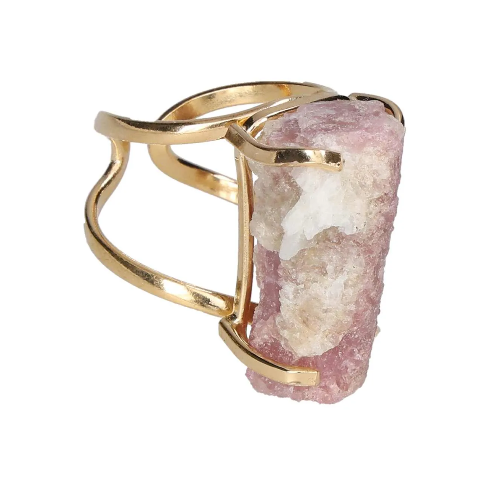 orbitvu|type:image2d