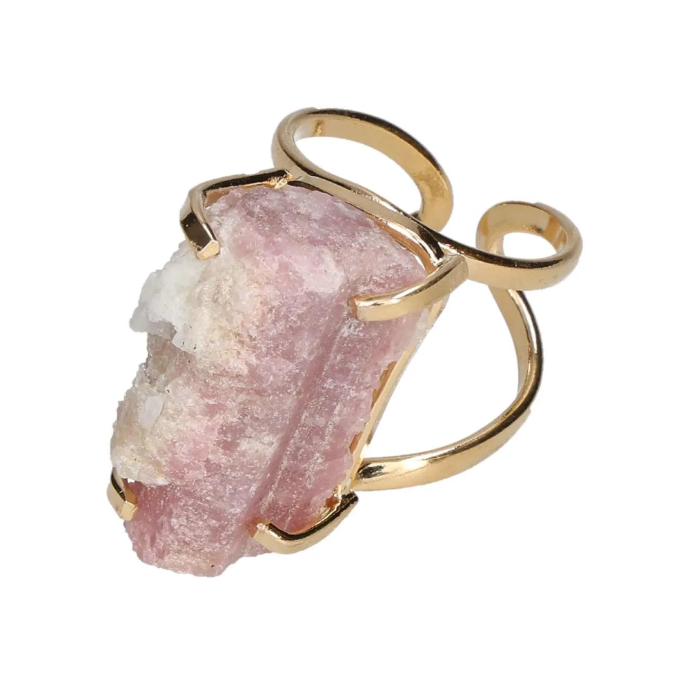 orbitvu|type:image2d