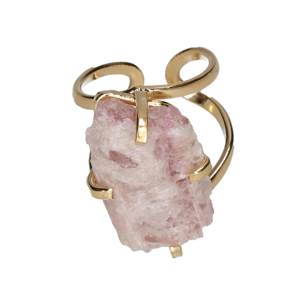 orbitvu|type:image2d