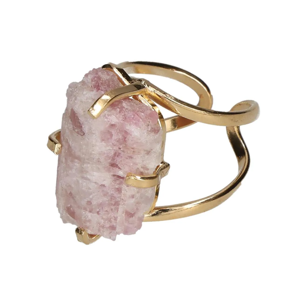 orbitvu|type:image2d