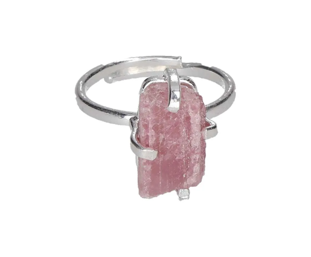 orbitvu|type:image2d