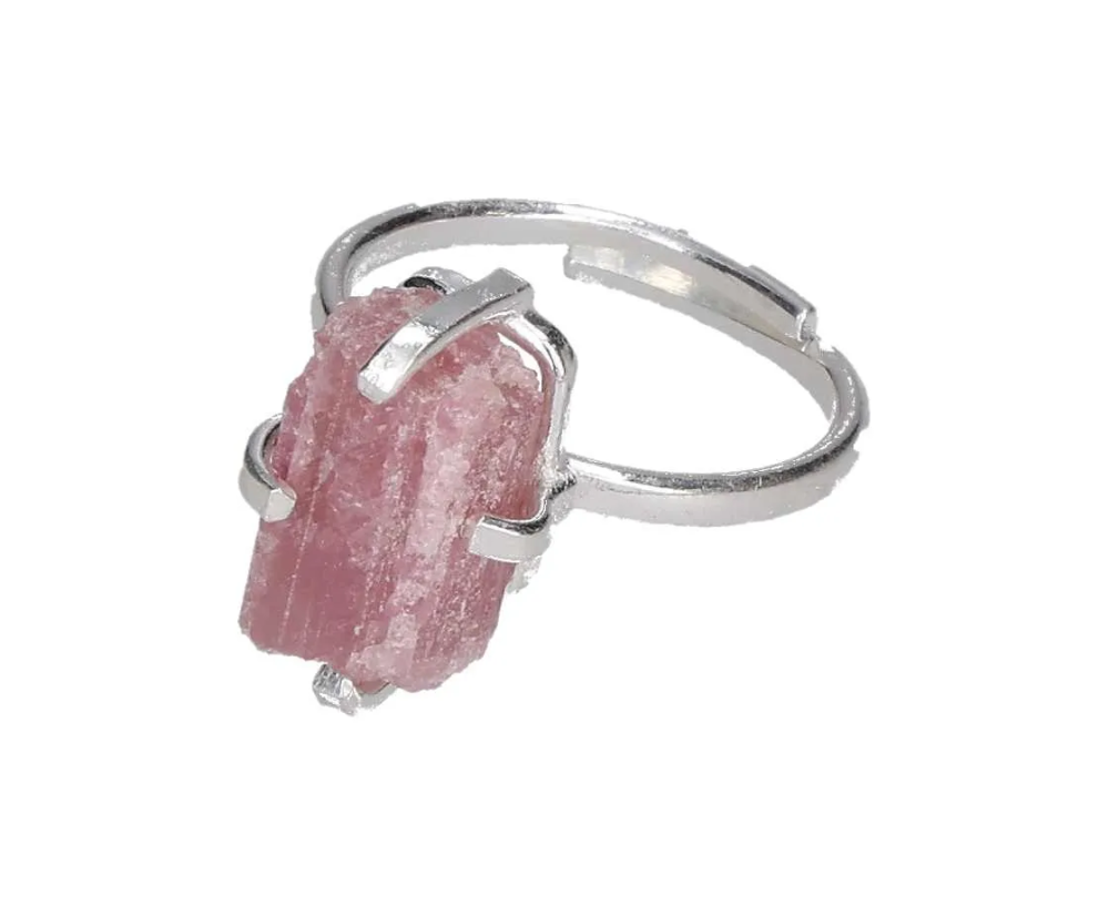 orbitvu|type:image2d