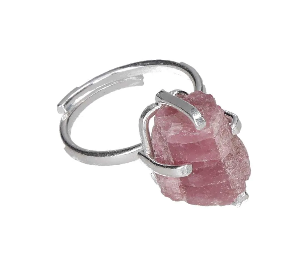 orbitvu|type:image2d