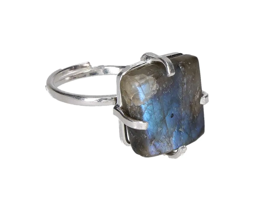 orbitvu|type:image2d