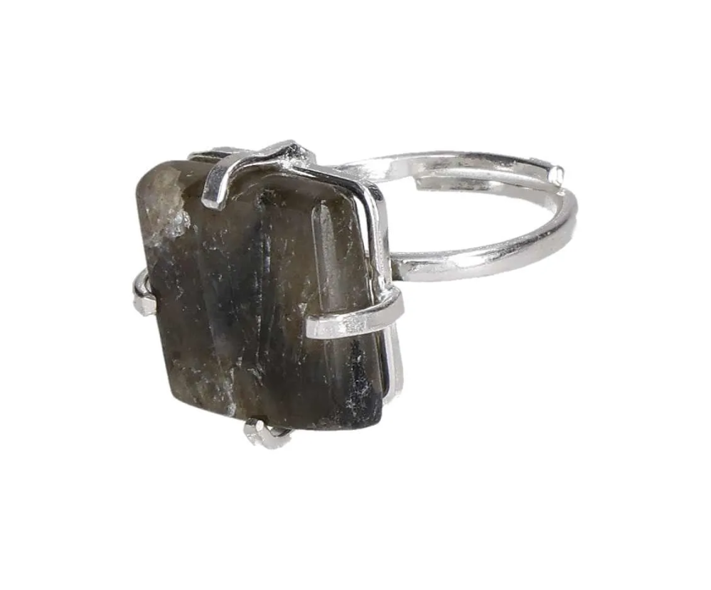 orbitvu|type:image2d