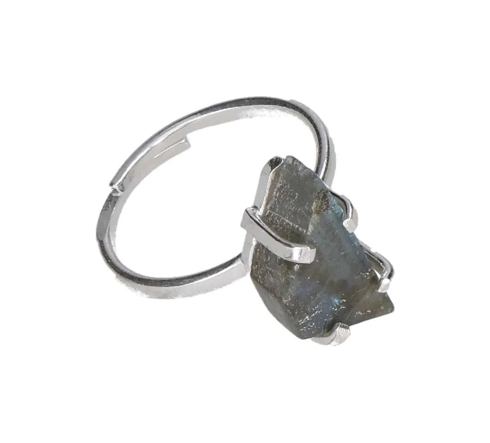 orbitvu|type:image2d