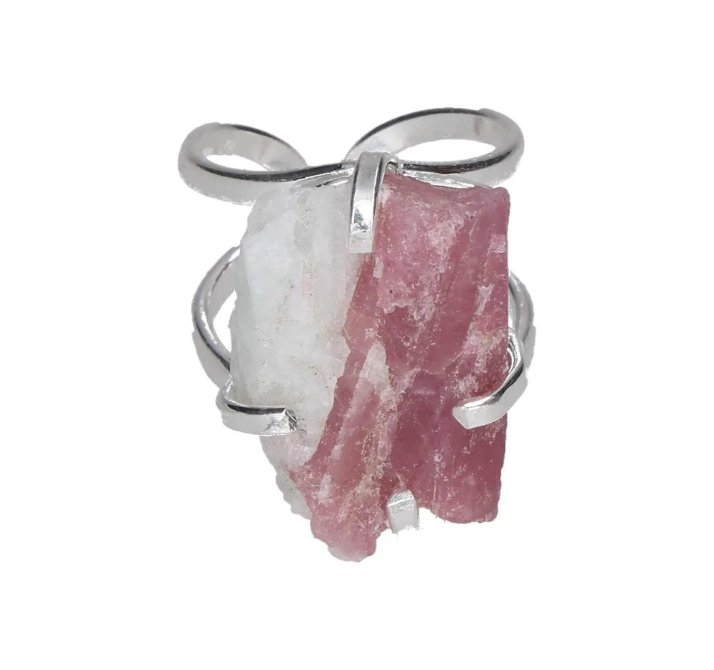 orbitvu|type:image2d