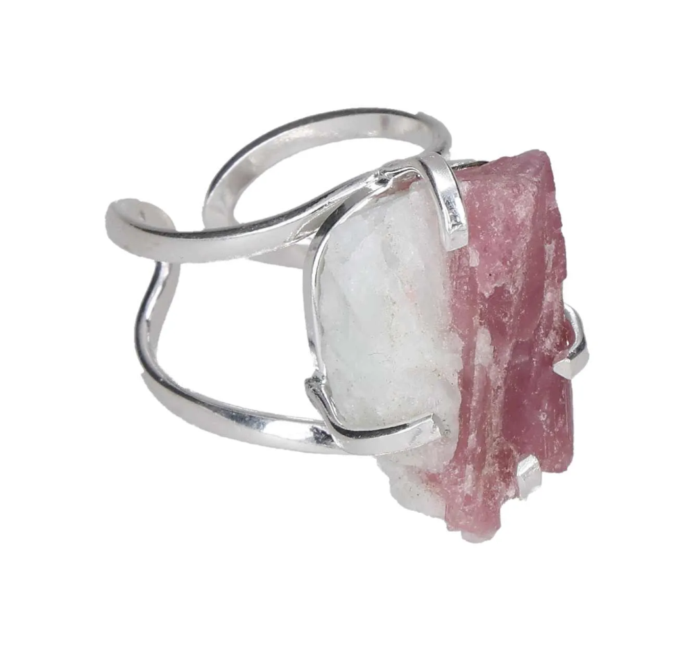 orbitvu|type:image2d