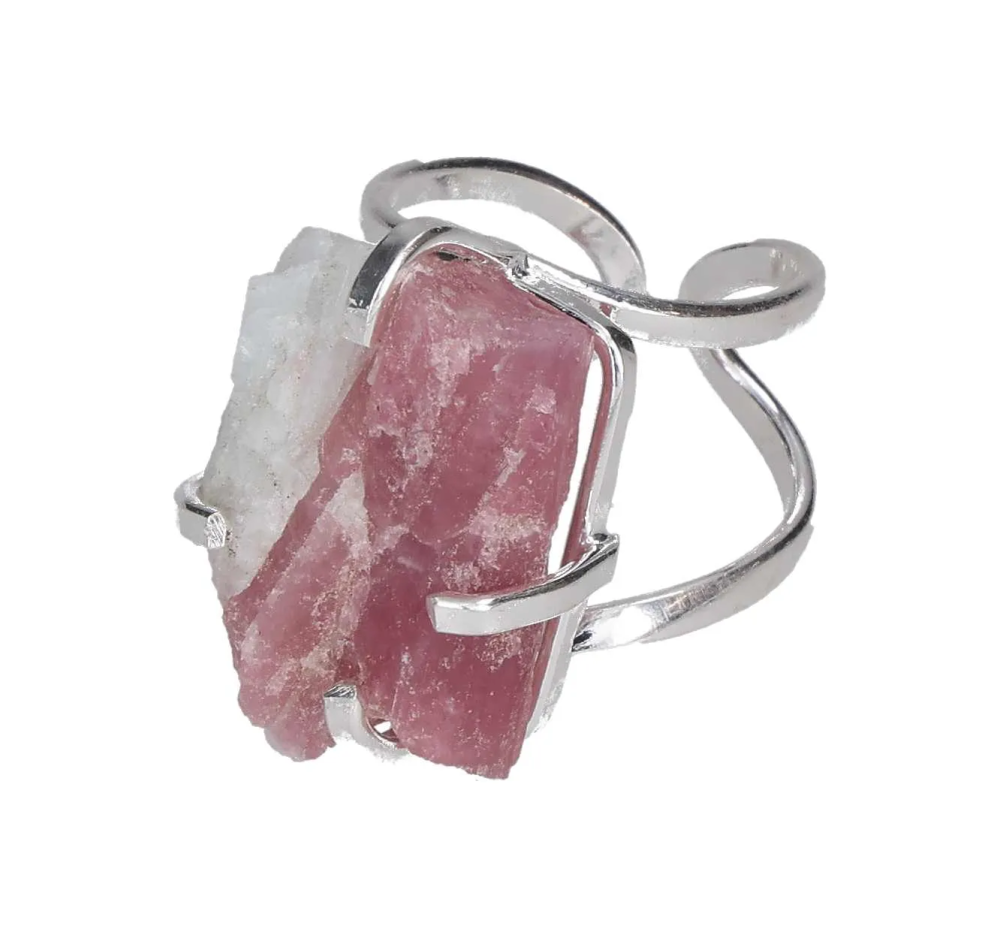 orbitvu|type:image2d