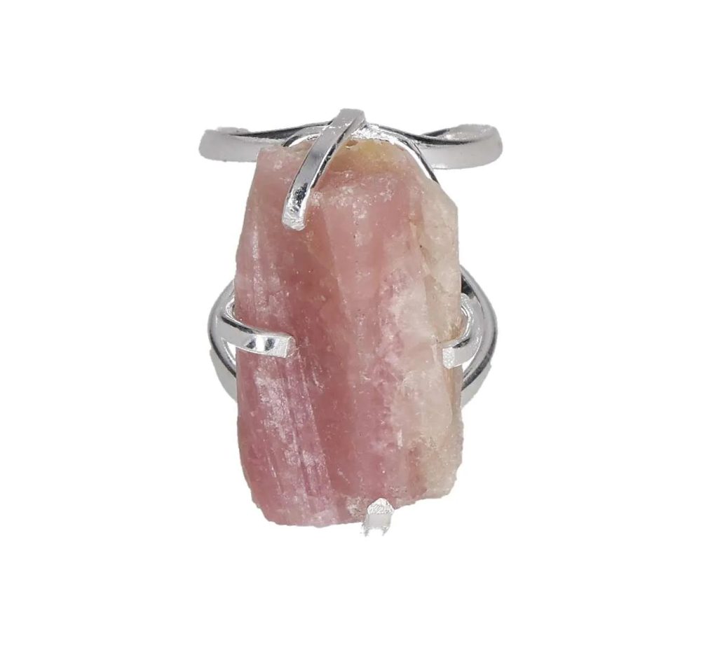 orbitvu|type:image2d