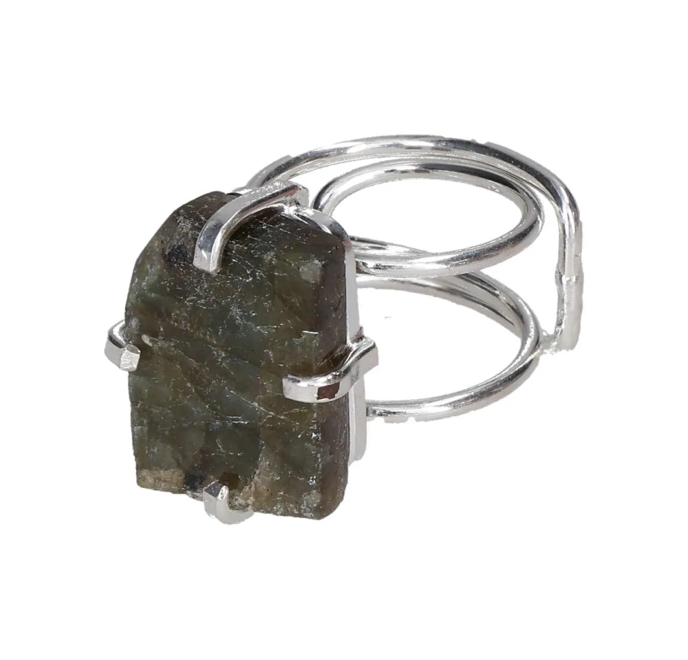 orbitvu|type:image2d