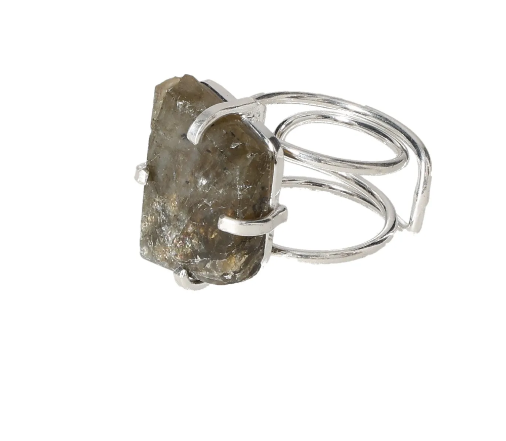 orbitvu|type:image2d