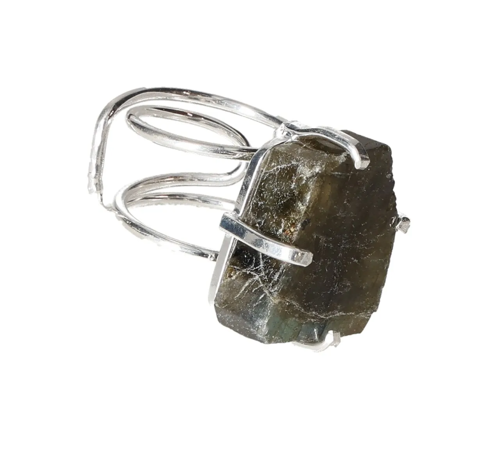 orbitvu|type:image2d