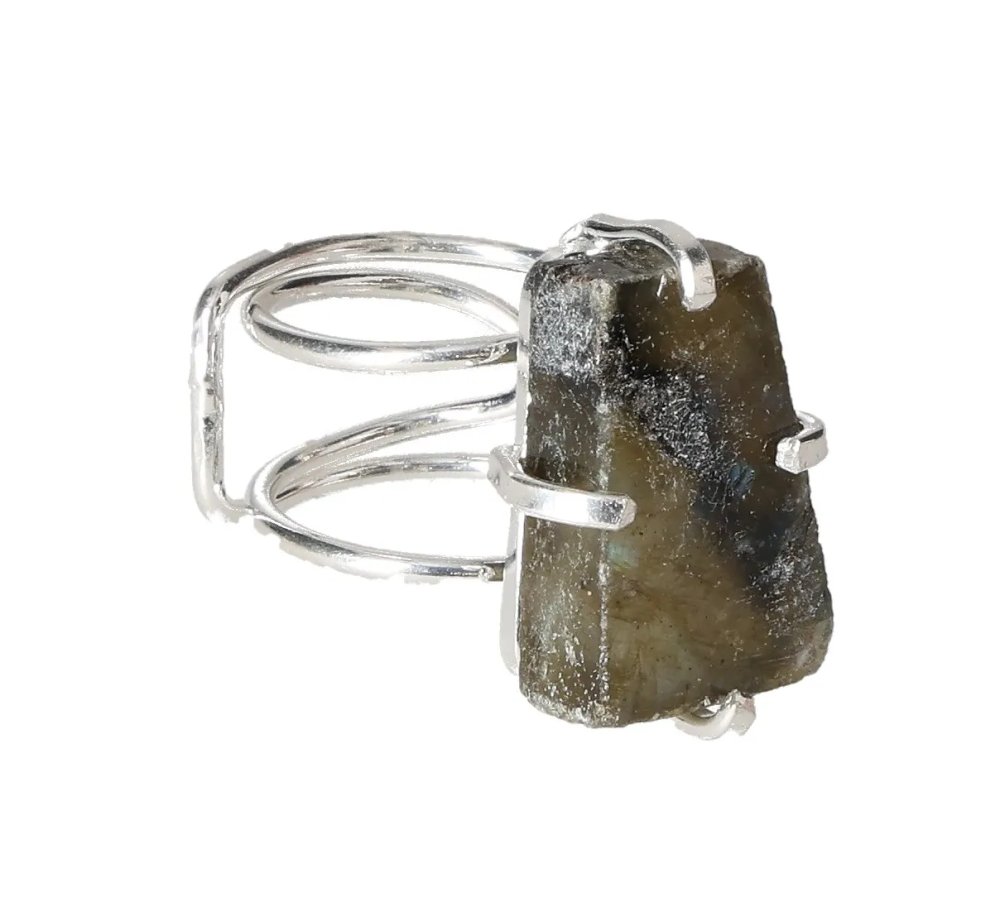 orbitvu|type:image2d