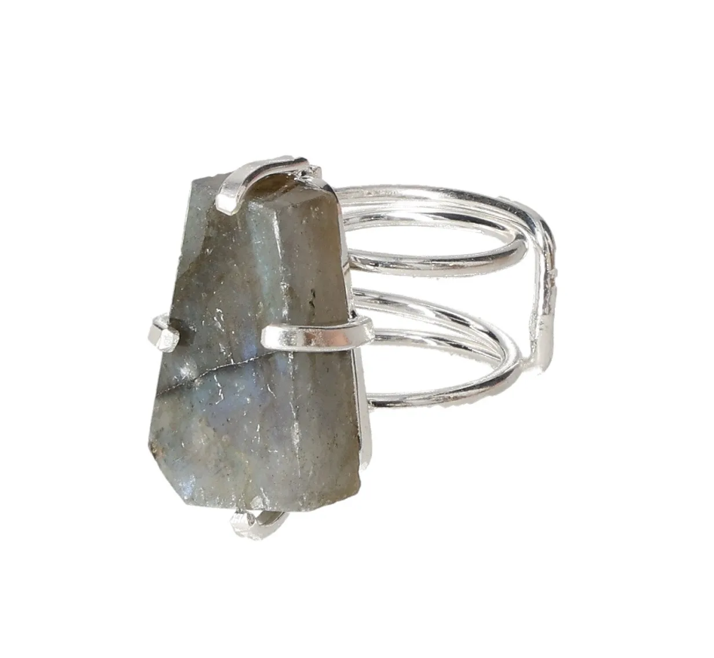 orbitvu|type:image2d