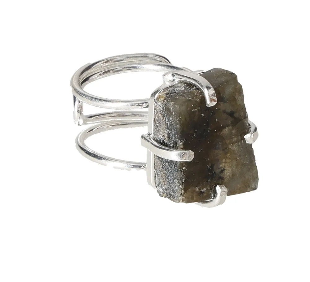 orbitvu|type:image2d