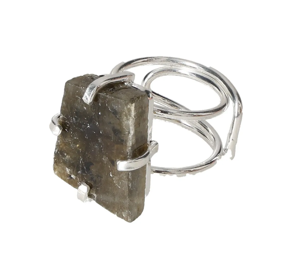 orbitvu|type:image2d