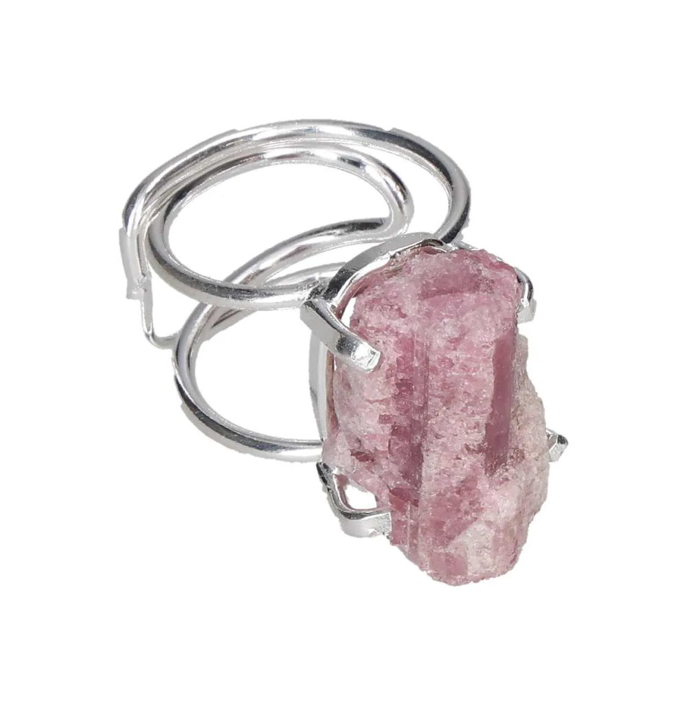 orbitvu|type:image2d