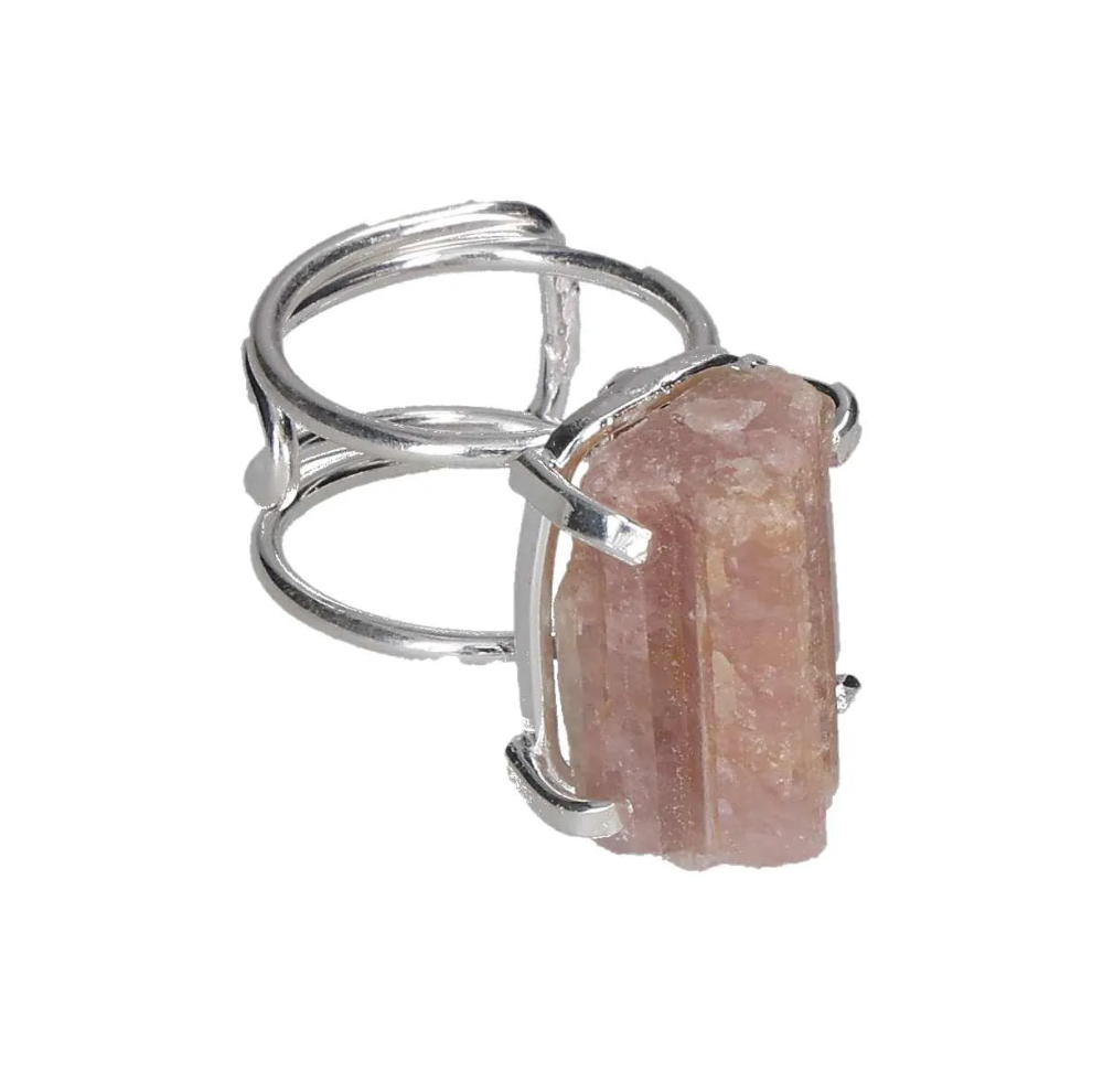 orbitvu|type:image2d