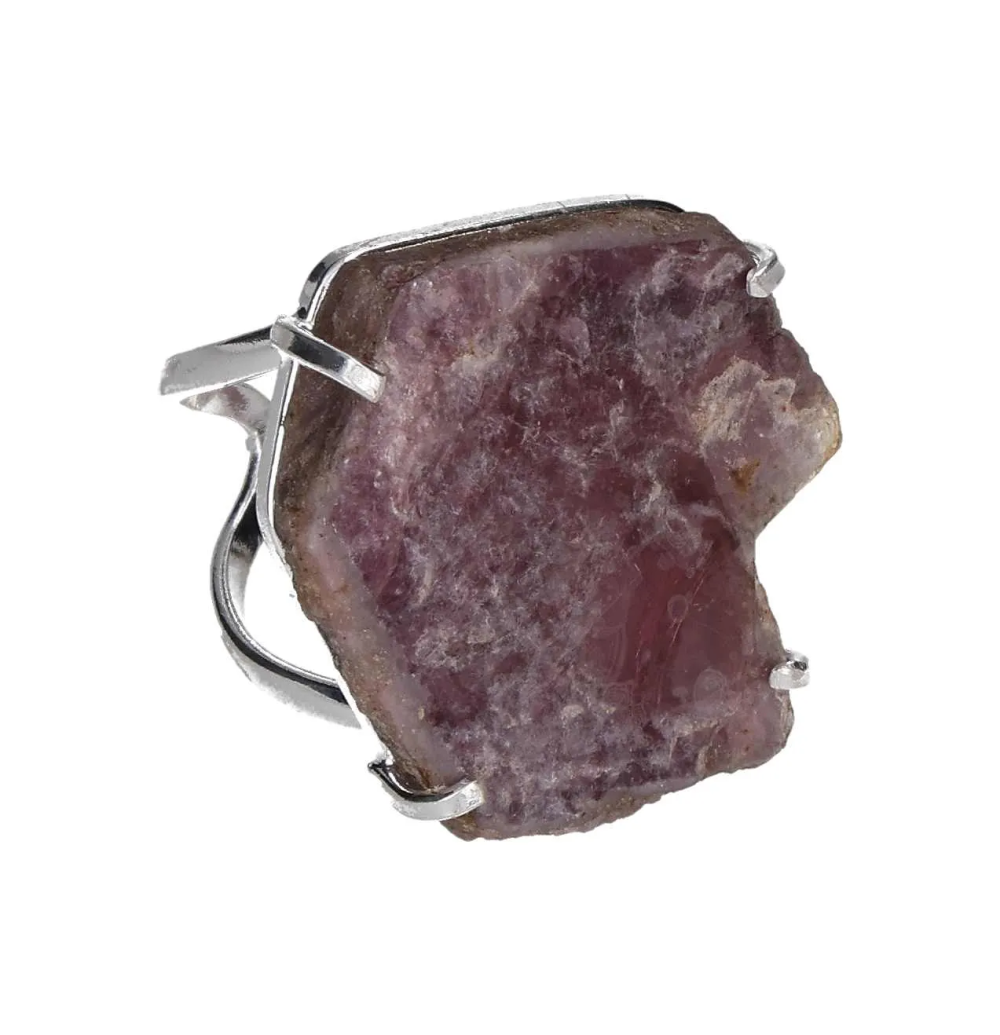 orbitvu|type:image2d