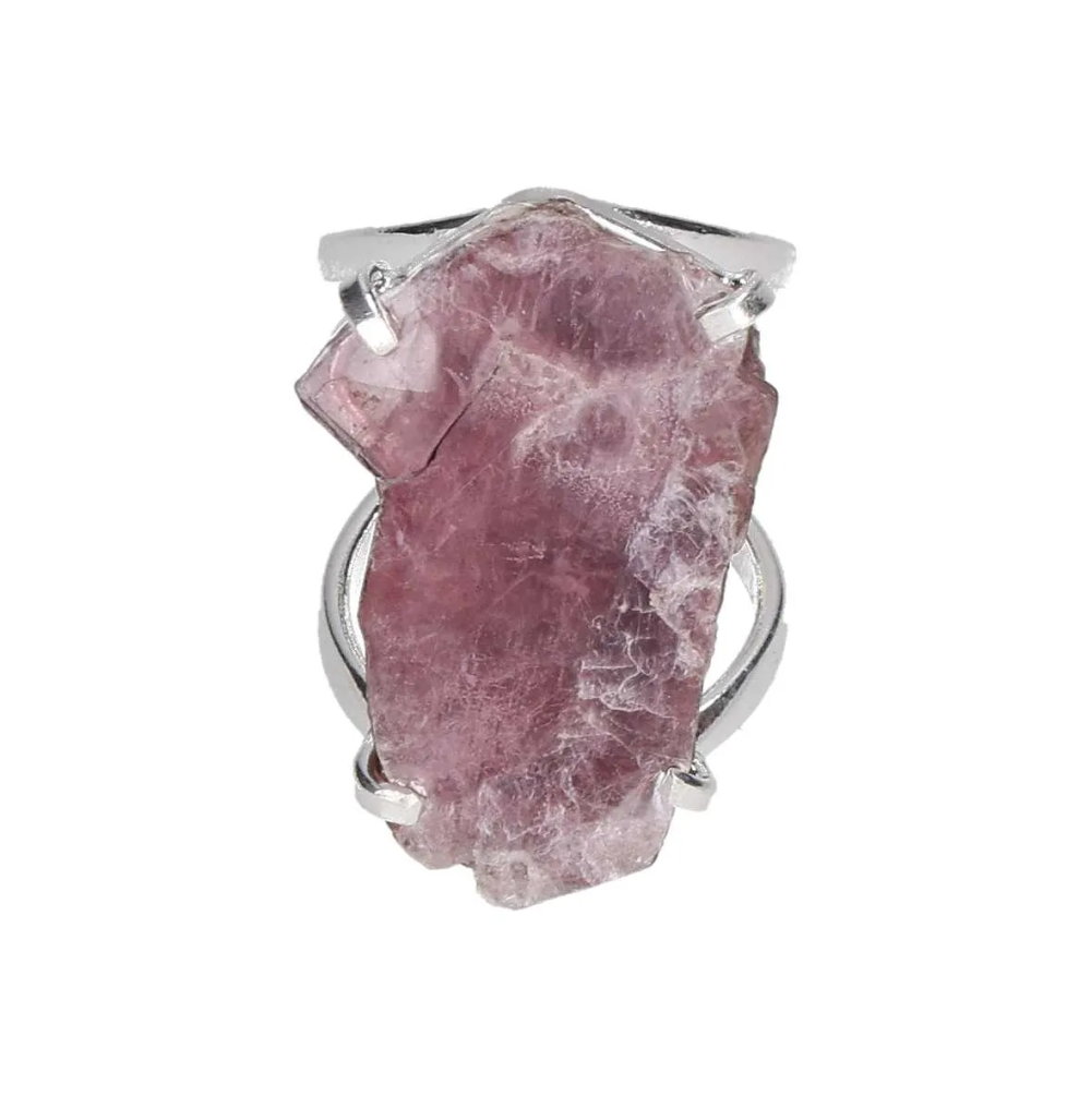 orbitvu|type:image2d