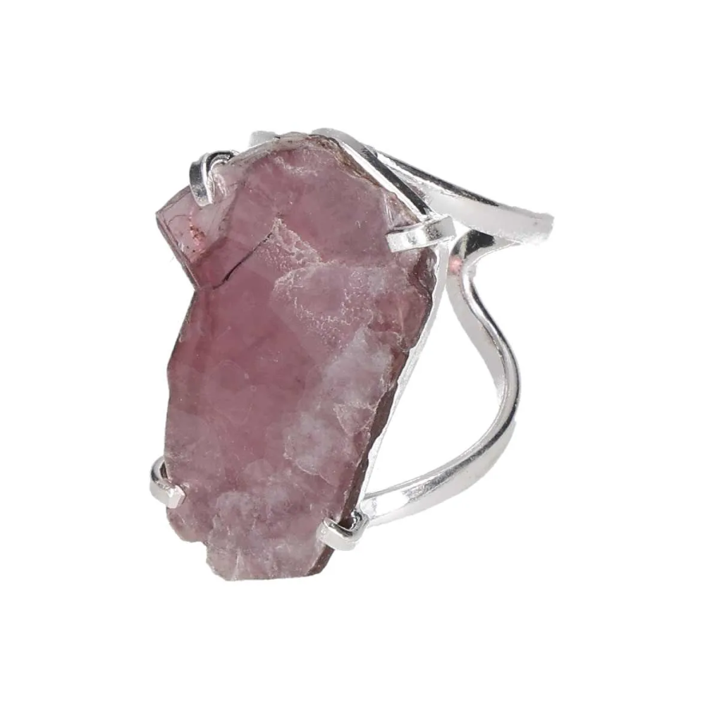 orbitvu|type:image2d