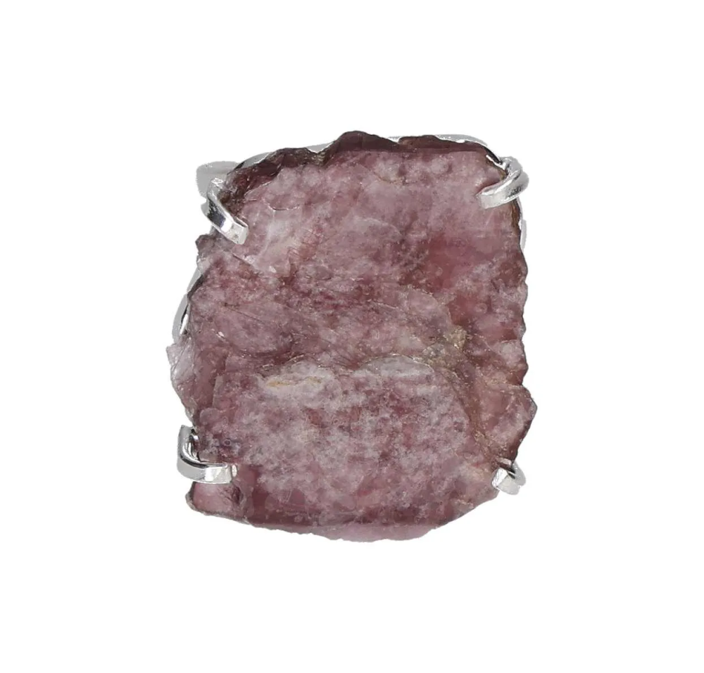 orbitvu|type:image2d