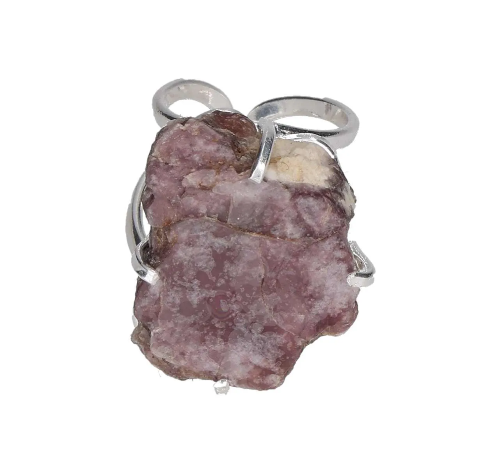 orbitvu|type:image2d